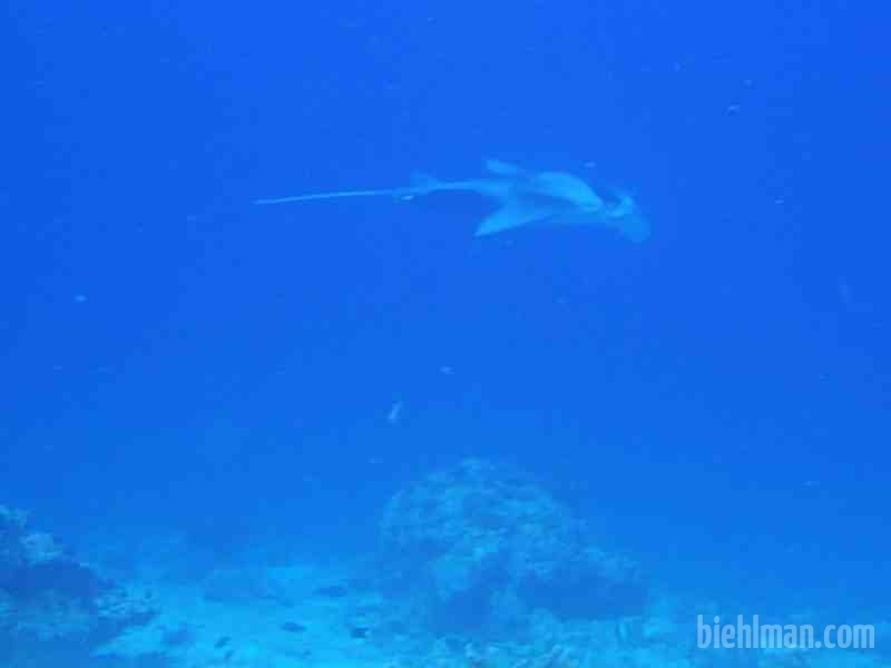 Malediven_0434_800